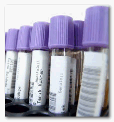 Hepatite B - Diagnóstico e medicamentos grátis