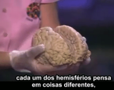 Entendendo o cérebro durante um derrame, por Dra. Jill