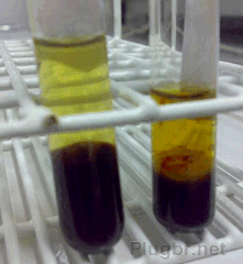 Hepatite A, B e C - Resumo sobre os exames laboratoriais