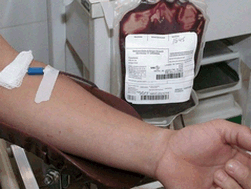 doar-sangue doar-sangue