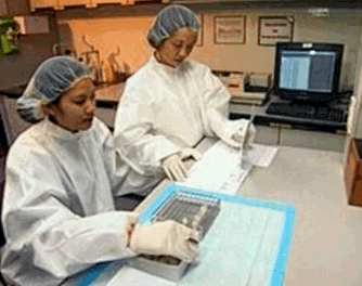 hiv-vacina-tailandia hiv-vacina-tailandia