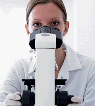 Entamoeba histolytica, resultado do exame de fezes positivo e como tratar segundo recomendações da S...