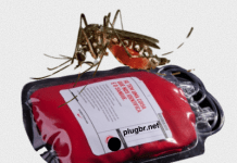 Exame de sangue ca 125 para que serve