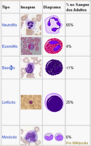 Exame de sangue sp