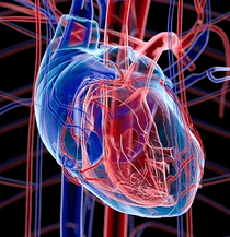 Proteína C Reativa PCR ultrassensível, exame de sangue preve risco doença  cardiovascular