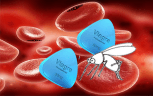 viagra-malaria