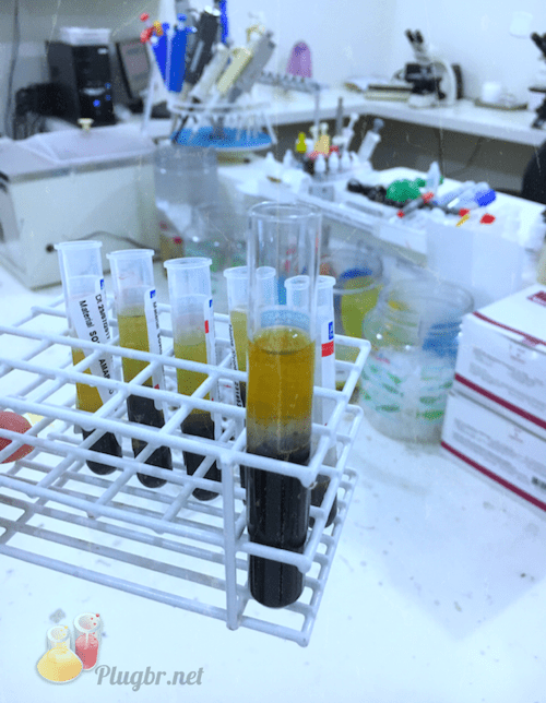 Candida anticorpos IgG, IgM e IgA, como é a coleta do material biológico e quais os valores